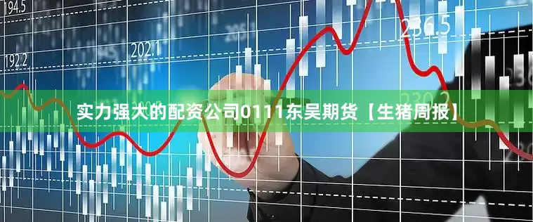 实力强大的配资公司0111东吴期货【生猪周报】