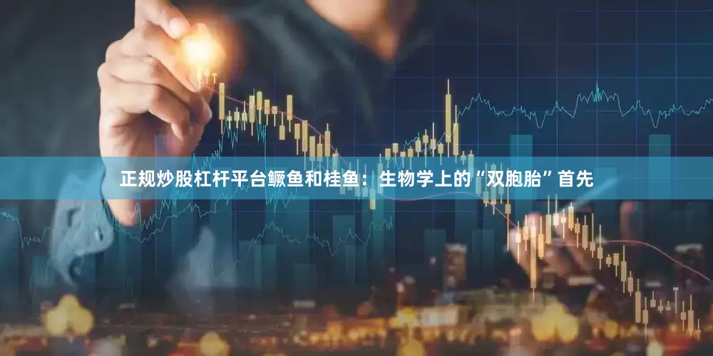 正规炒股杠杆平台鳜鱼和桂鱼：生物学上的“双胞胎”首先