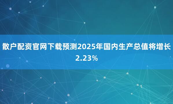 散户配资官网下载预测2025年国内生产总值将增长2.23%