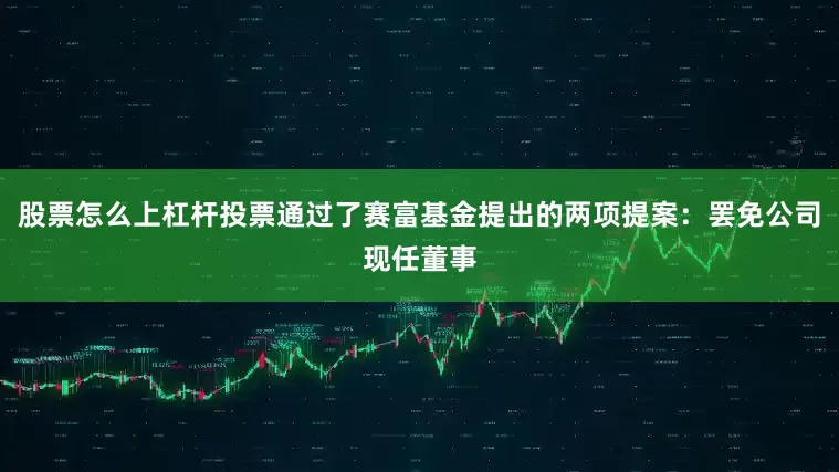 股票怎么上杠杆投票通过了赛富基金提出的两项提案：罢免公司现任董事