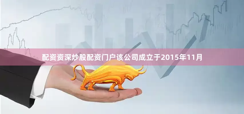配资资深炒股配资门户该公司成立于2015年11月