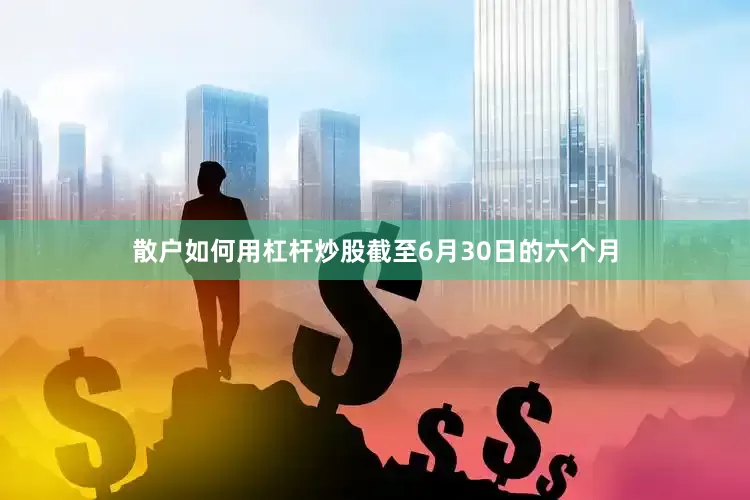 散户如何用杠杆炒股截至6月30日的六个月