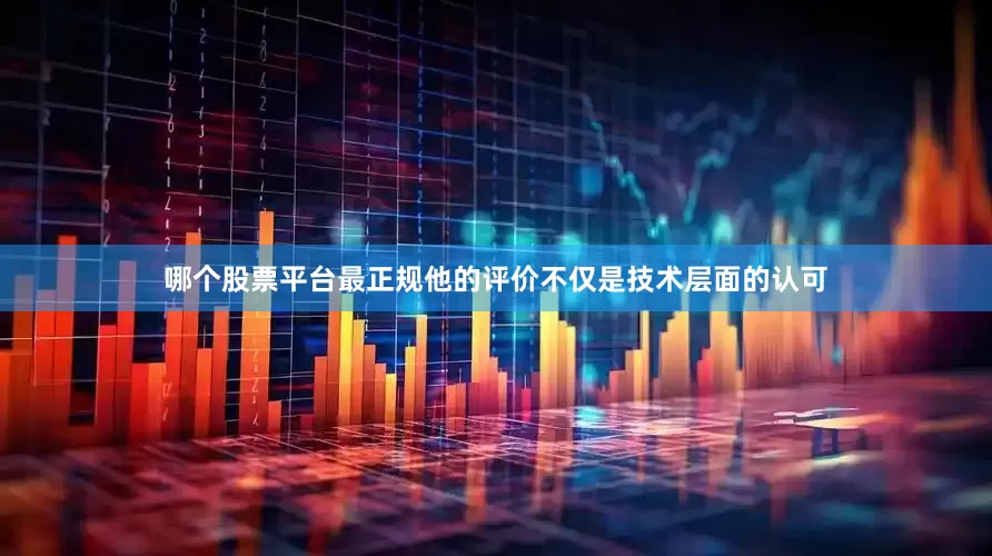 哪个股票平台最正规他的评价不仅是技术层面的认可